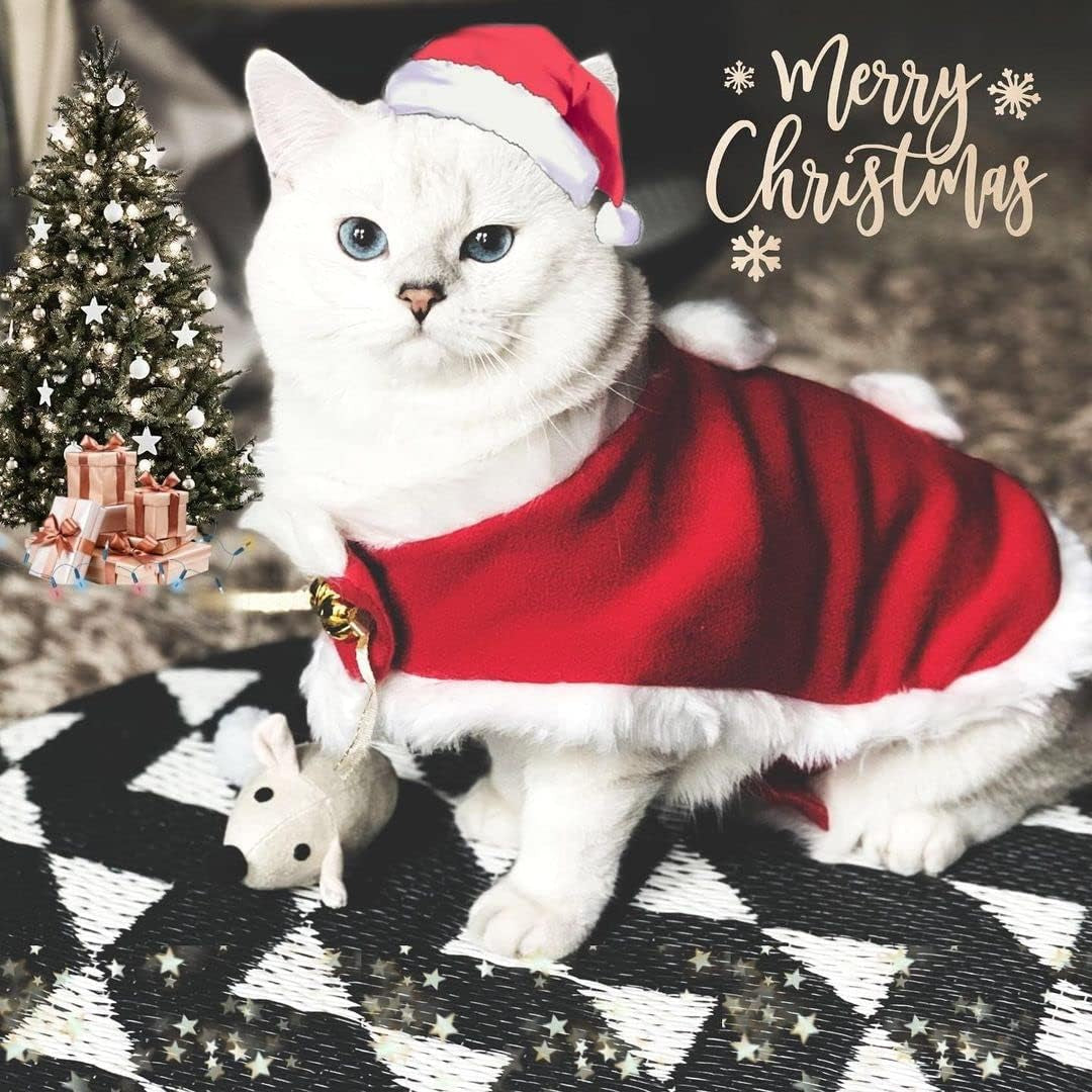 Pet Christmas Costume Cat Santa Outfit Small Dog Xmas Hat with Cloak Set Cat New Year Apparel