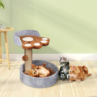 Kitten Tree Cat Paw Cat Tree for Indoor Cats Small Kitten Tree Towers Tower with Scratching Post Cat Activity Tree(Gray-Brown)