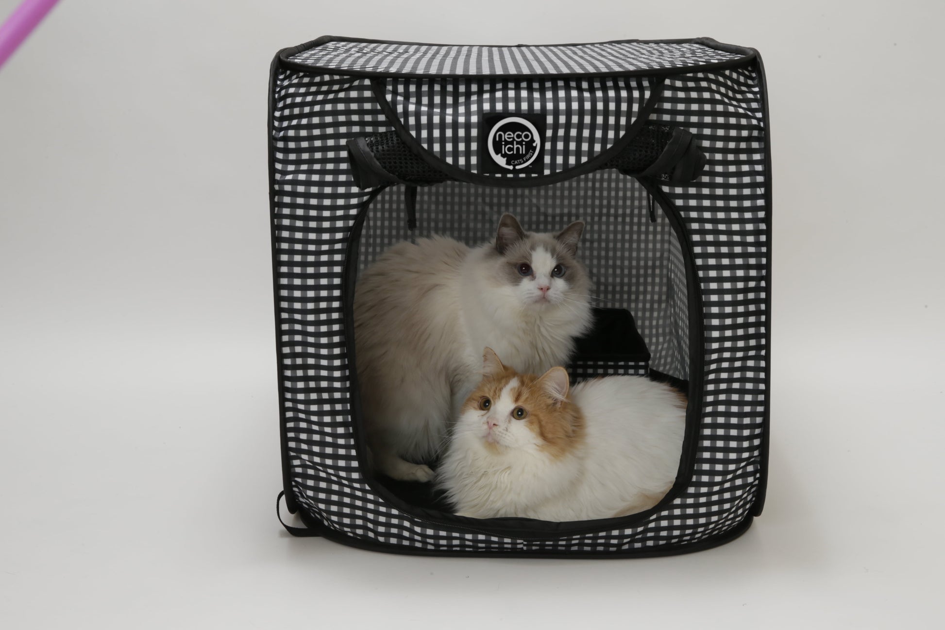 Pop-Up Cat Carrier, Portable & Light-Weight, 31"X20"X20"