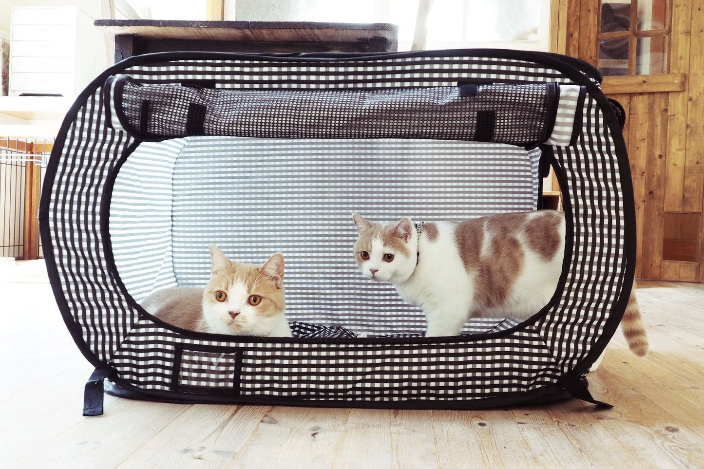 Pop-Up Cat Carrier, Portable & Light-Weight, 31"X20"X20"