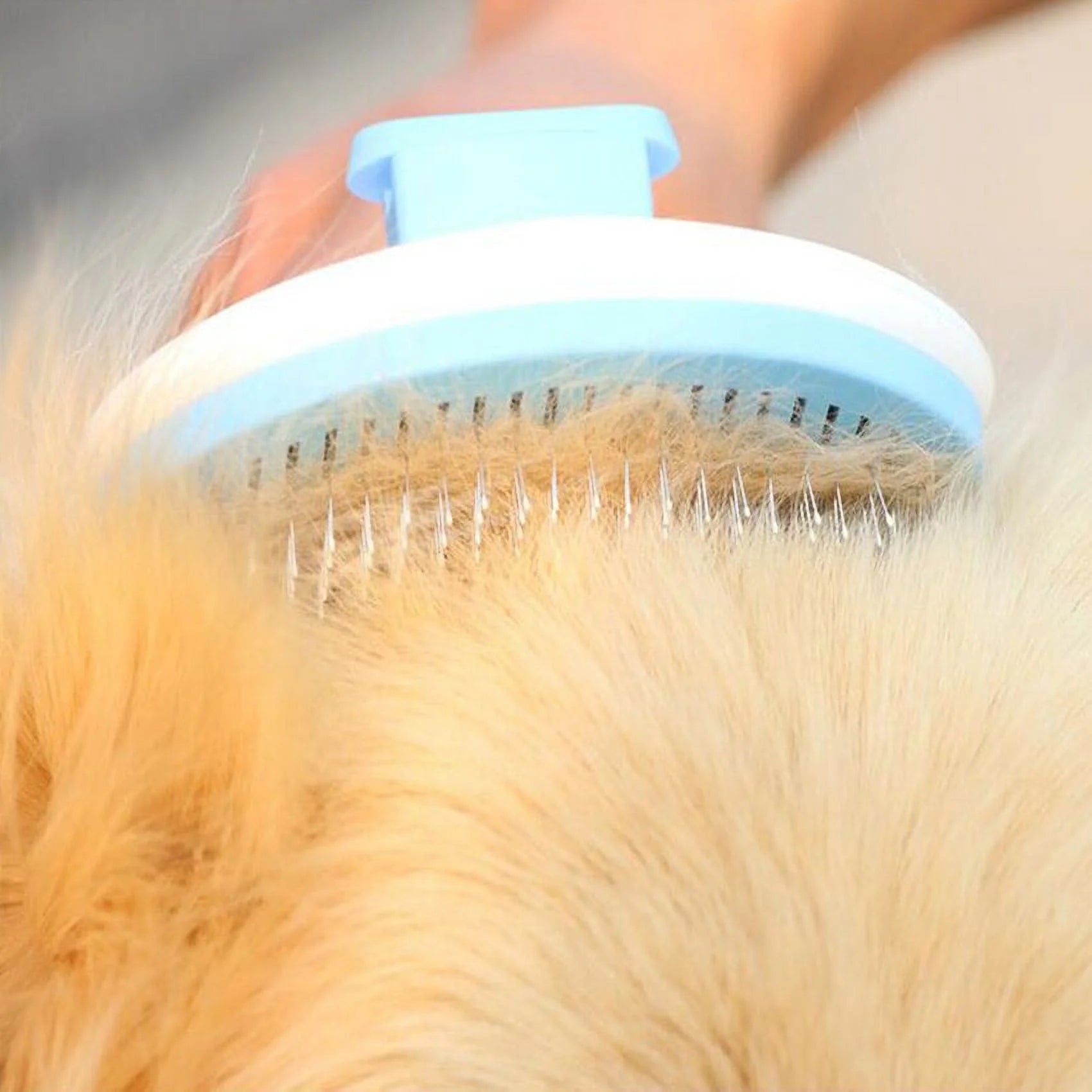 Dog & Cat Brush, Self Cleaning Slicker Brushe for Shedding and Grooming Removes Loose Undercoat, Mats and Tangled Hair Grooming Comb for Cat Dog Brush Massage