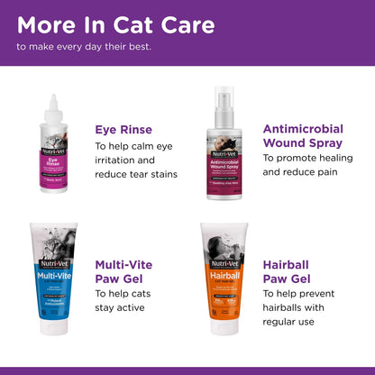 Uri-Ease Paw Gel for Cats - Helps Maintain Urinary Tract Health - Delicious Salmon Flavor - 3 Ounces