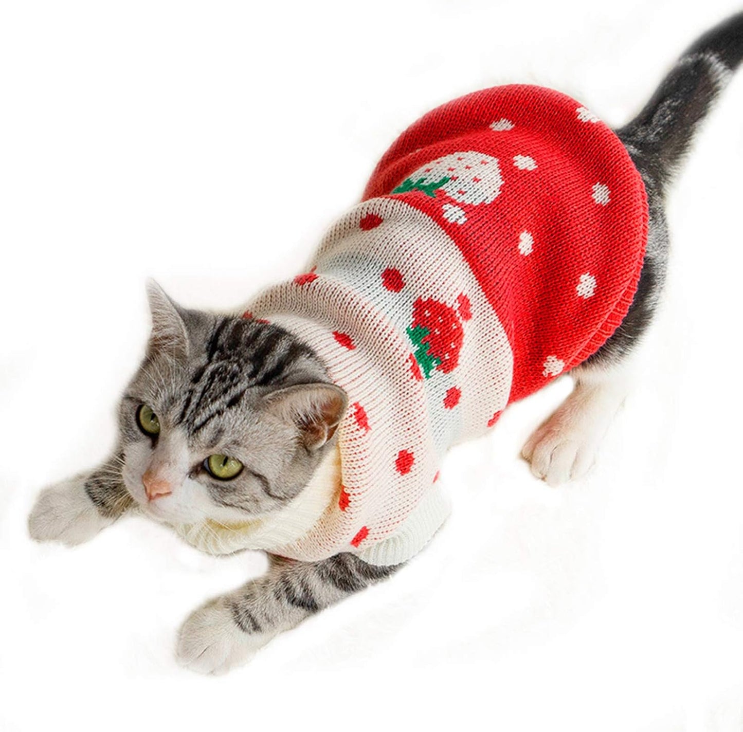 Pet Clothes, Cat Sweater Winter Warm Puppy Clothes Strawberry Knitwear Turtleneck Dog Sweaters for Cats Kitten Puppy (16:Red Strawberry)