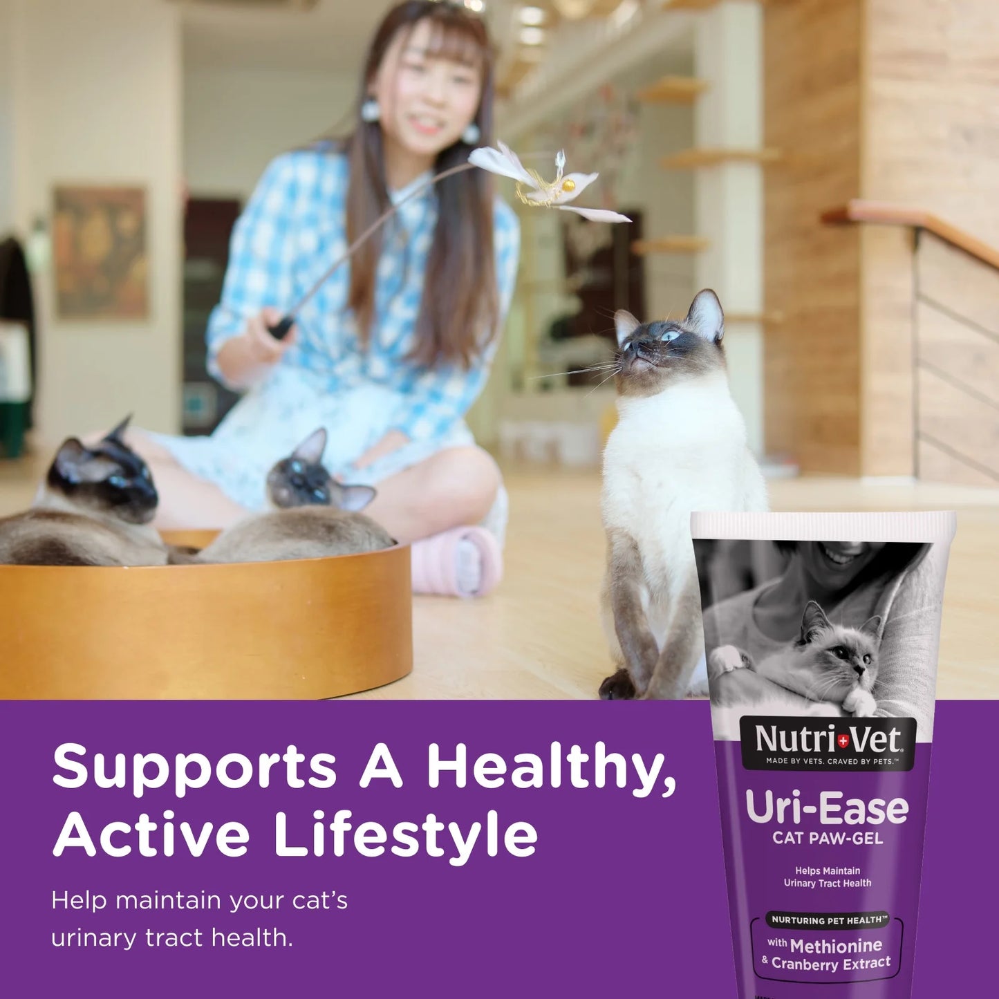 Uri-Ease Paw Gel for Cats - Helps Maintain Urinary Tract Health - Delicious Salmon Flavor - 3 Ounces