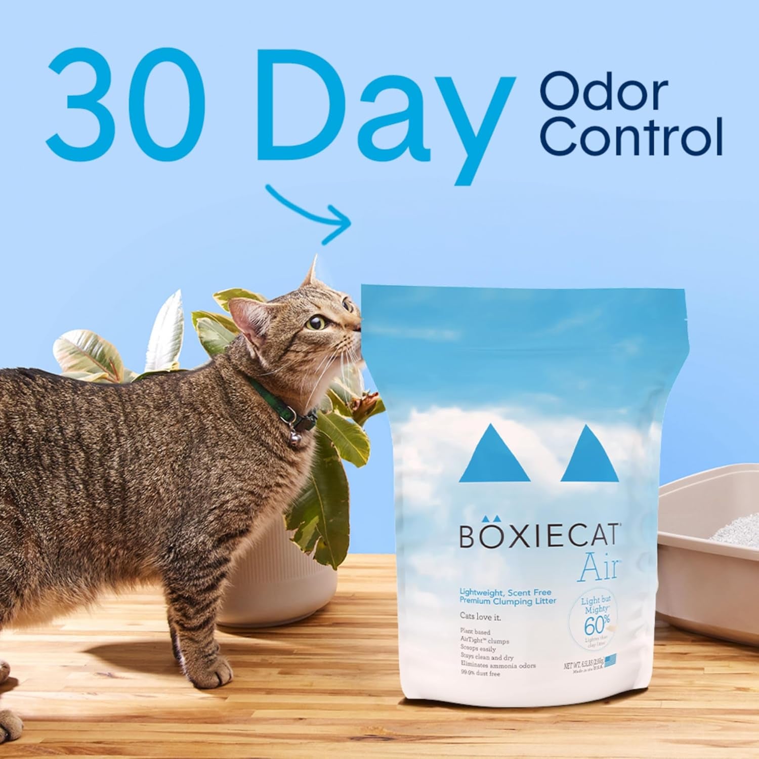 Boxie® Unscented 30 Day Natural Odor Control Cat Litter, 6.5Lb Lightweight Plant Based Kitty Litter