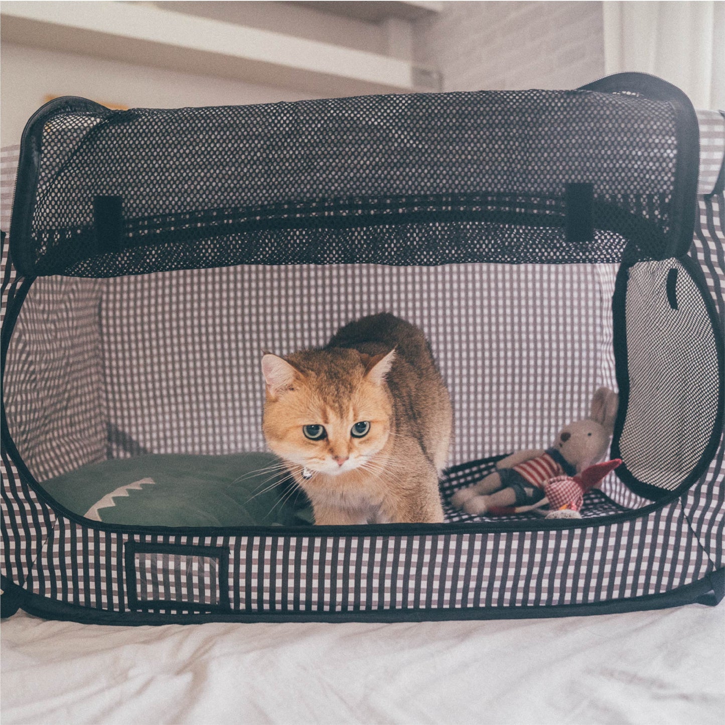 Pop-Up Cat Carrier, Portable & Light-Weight, 31"X20"X20"