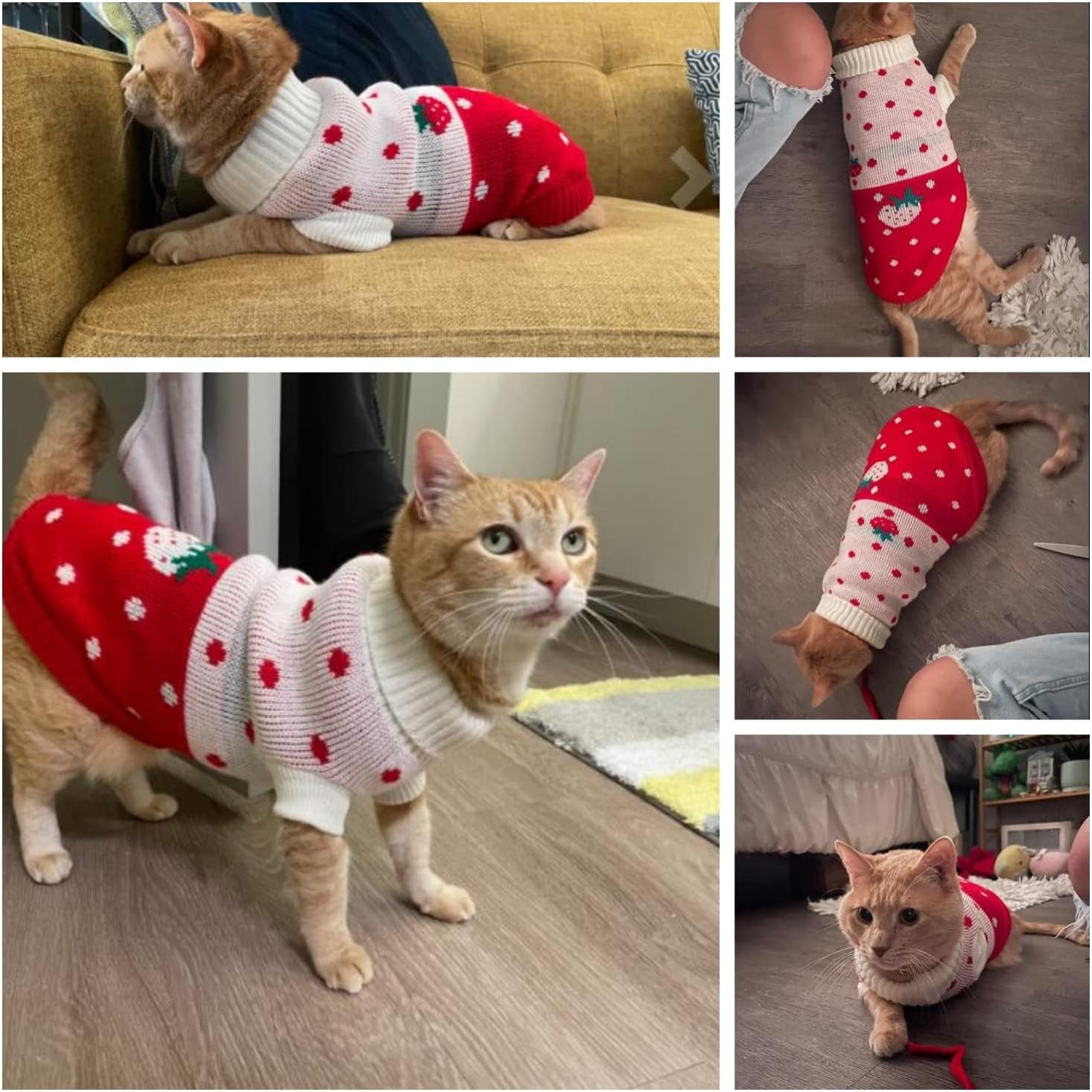 Pet Clothes, Cat Sweater Winter Warm Puppy Clothes Strawberry Knitwear Turtleneck Dog Sweaters for Cats Kitten Puppy (16:Red Strawberry)